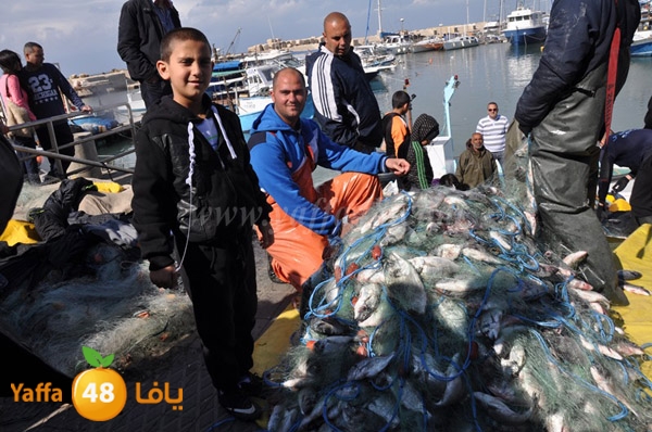 samak denisss (39).JPG